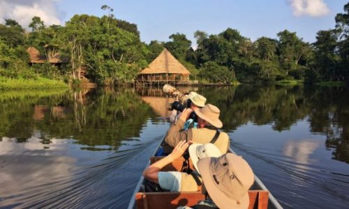 Paisaje-de-la-amazonia-ecuatoriana (1) Paisaje-de-la-amazonia-ecuatoriana (1)