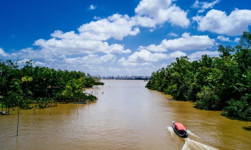 Wide angle shot of a boat riding on a river and passing through the trees A wide angle shot of a boat riding on a river and passing through the trees