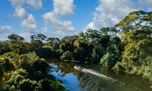 Motorboat in the lake surrounded by beautiful green trees under a cloudy sky A motorboat in the lake surrounded by beautiful green trees under a cloudy sky
